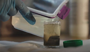 iLab Water Test Kit (5 Units) - Image 4